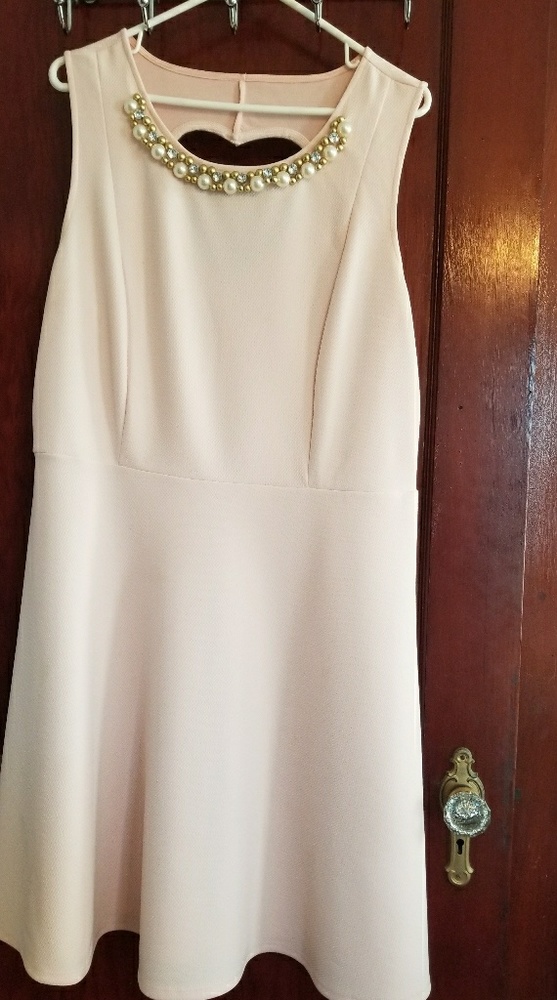 Blush Fit & Flare dress by Forever 21 Plus